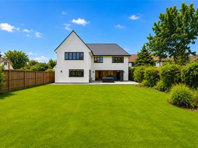 Picture 39
